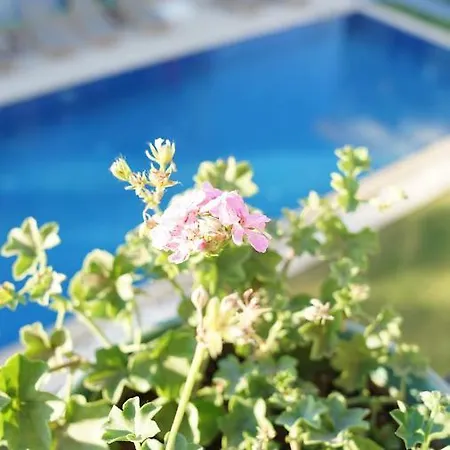 Karyada 酒店 2*