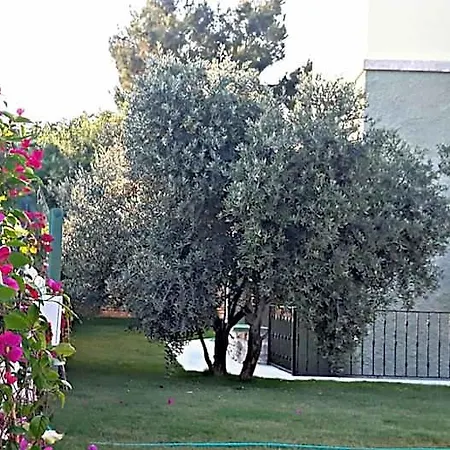 호텔 Karyada Çeşme